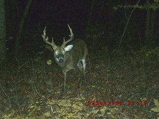 Property photo 5 - 1974 Acres in 23 Tracts Located in Christian, Hopkins & Edmonson County, Kentucky